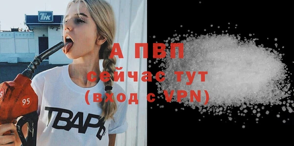 сатива Абинск