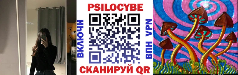 купить наркотики цена  Калач  Псилоцибиновые грибы Psilocybine cubensis 